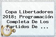 <b>Copa Libertadores 2018</b>: Programación Completa De Los Partidos De ...
