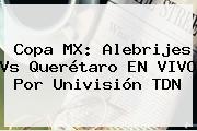 Copa MX: Alebrijes Vs Querétaro EN <b>VIVO</b> Por Univisión <b>TDN</b>