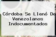 Córdoba Se Llenó De Venezolanos Indocumentados