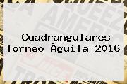 <b>Cuadrangulares Torneo Águila 2016</b>