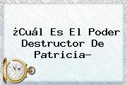 ¿Cuál Es El Poder Destructor De Patricia?