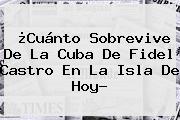 ¿Cuánto Sobrevive De La Cuba De <b>Fidel Castro</b> En La Isla De Hoy?