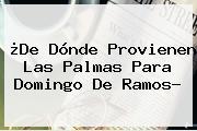 ¿De Dónde Provienen Las Palmas Para <b>Domingo De Ramos</b>?