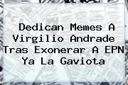 Dedican Memes A <b>Virgilio Andrade</b> Tras Exonerar A EPN Ya La Gaviota