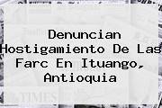 <i>Denuncian Hostigamiento De Las Farc En Ituango, Antioquia</i>