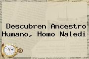 Descubren Ancestro Humano, <b>Homo Naledi</b>