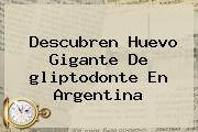 Descubren Huevo Gigante De <b>gliptodonte</b> En Argentina