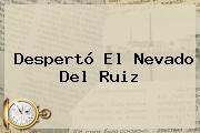 Despertó El <b>Nevado Del Ruiz</b>