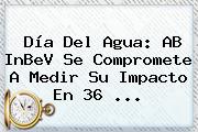 <b>Día Del Agua</b>: AB InBeV Se Compromete A Medir Su Impacto En 36 ...