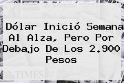 <b>Dólar</b> Inició Semana Al Alza, Pero Por Debajo De Los 2.900 Pesos