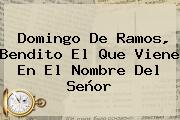 <b>Domingo De Ramos</b>, Bendito El Que Viene En El Nombre Del Señor