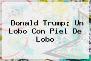 <b>Donald Trump</b>: Un Lobo Con Piel De Lobo