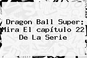 <b>Dragon Ball Super</b>: Mira El <b>capítulo 22</b> De La Serie