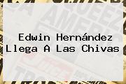 <b>Edwin Hernández</b> Llega A Las Chivas
