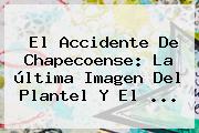 El Accidente De Chapecoense: La <b>última</b> Imagen Del Plantel Y El ...