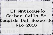 El Antioqueño <b>Ceiber Avila</b> Se Despide Del Boxeo De Rio-2016