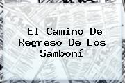 El Camino De Regreso De Los <b>Samboní</b>