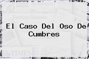 Ver el caso del oso de cumbres El Caso Del <b>Oso De Cumbres</b>