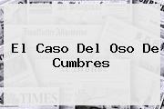 El Caso Del <b>Oso De Cumbres</b>