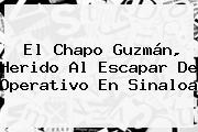 El <b>Chapo Guzmán</b>, Herido Al Escapar De Operativo En Sinaloa