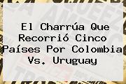 El Charrúa Que Recorrió Cinco Países Por <b>Colombia Vs</b>. <b>Uruguay</b>