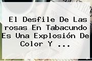 El Desfile De Las <b>rosas</b> En Tabacundo Es Una Explosión De Color Y <b>...</b>