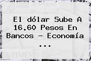 El <b>dólar</b> Sube A 16.60 Pesos En Bancos - Economía <b>...</b>