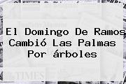 El <b>Domingo De Ramos</b> Cambió Las Palmas Por árboles