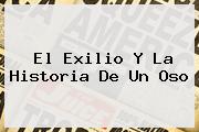 El Exilio Y La <b>Historia De Un Oso</b>