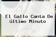 Ver el gallo canta de ultimo minuto El Gallo Canta De último Minuto