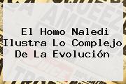 El <b>Homo Naledi</b> Ilustra Lo Complejo De La Evolución