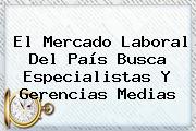 El Mercado Laboral Del País Busca Especialistas Y Gerencias Medias