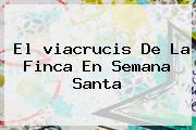 El <b>viacrucis</b> De La Finca En Semana Santa