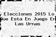 <b>Elecciones 2015</b> Lo Que Esta En Juego En Las Urnas