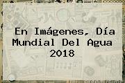 En Imágenes, <b>Día</b> Mundial Del <b>Agua</b> 2018