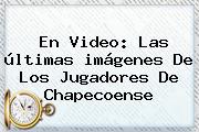 En Video: Las últimas Imágenes De Los <b>jugadores</b> De <b>Chapecoense</b>