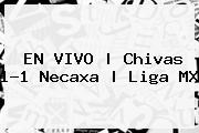 EN VIVO | <b>Chivas</b> 1-1 <b>Necaxa</b> | Liga MX