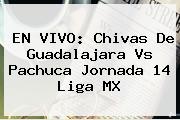 EN VIVO: Chivas De <b>Guadalajara Vs Pachuca</b> Jornada 14 Liga MX