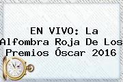 EN <b>VIVO</b>: La Alfombra Roja De Los <b>Premios Óscar 2016</b>