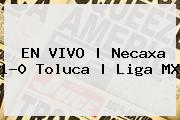 EN VIVO | <b>Necaxa</b> 1-0 <b>Toluca</b> | Liga MX