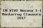 EN VIVO <b>Necaxa</b> 1-1 <b>Monterrey</b> Clausura 2017