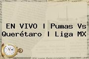 EN VIVO | <b>Pumas Vs Querétaro</b> | Liga MX