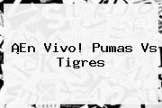 ¡En Vivo! <b>Pumas Vs Tigres</b>