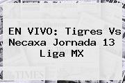 EN VIVO: <b>Tigres Vs Necaxa</b> Jornada 13 Liga MX