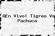 ¡En Vivo! <b>Tigres Vs Pachuca</b>