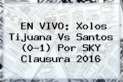 EN VIVO: Xolos <b>Tijuana Vs Santos</b> (0-1) Por SKY Clausura 2016