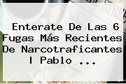 Enterate De Las 6 Fugas Más Recientes De Narcotraficantes | <b>Pablo</b> <b>...</b>