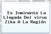 Es Inminente La Llegada Del <b>virus Zika</b> A La Región