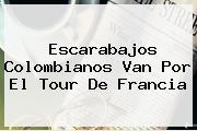 Escarabajos Colombianos Van Por El <b>Tour De Francia</b>