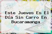 Este Jueves Es El <b>Día Sin Carro</b> En <b>Bucaramanga</b>